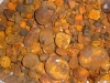Superior Quality Cow OX Gallstones 